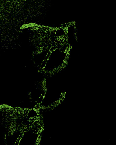 'Do You Know Who You Really Are, Are You Sure It's Really You?'